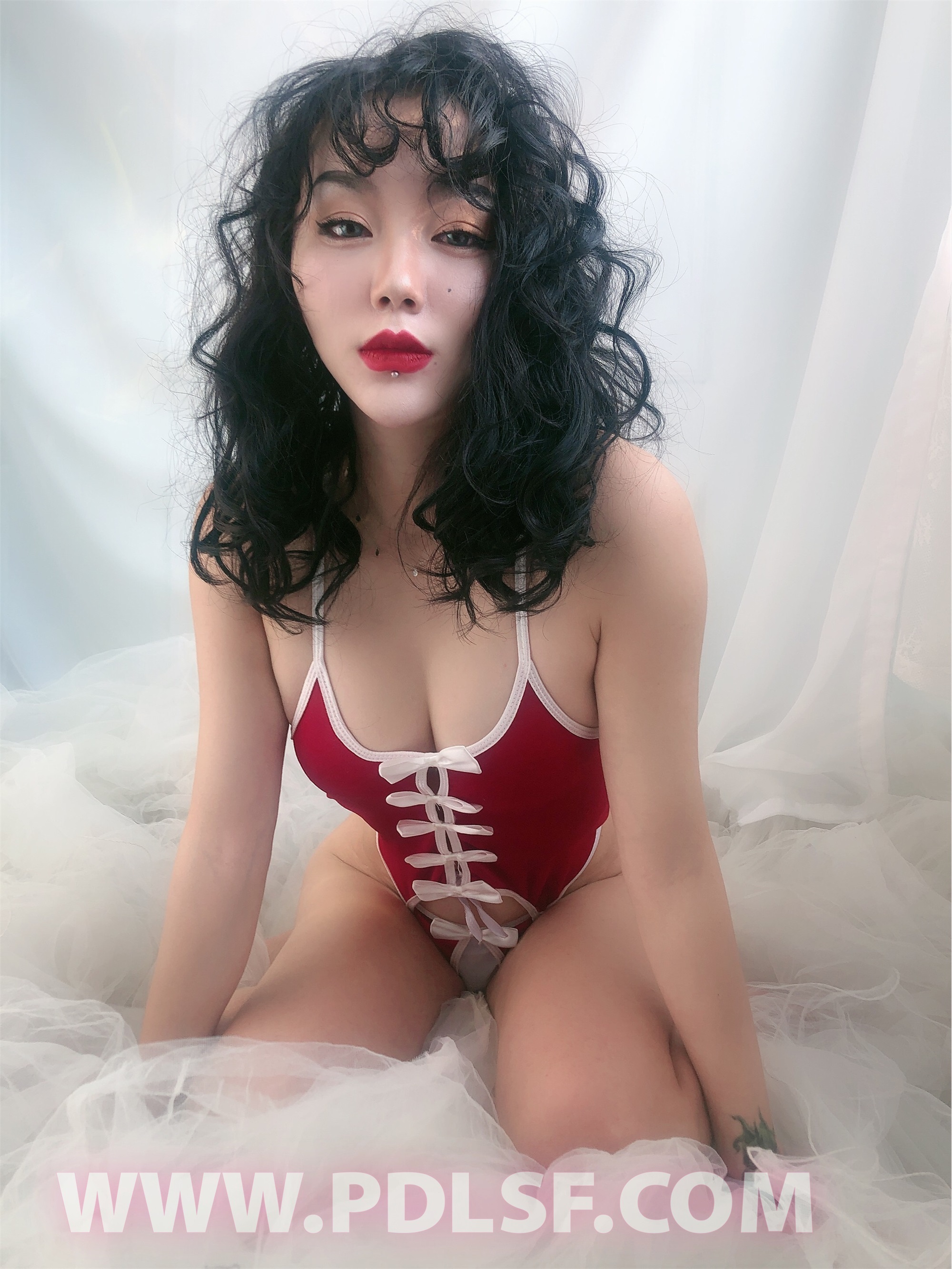 PDL潘多拉 2020.02.03 专辑No.276